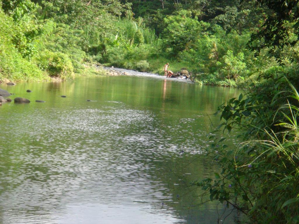 Hibiscus Valley Inn Marigot Habitación foto