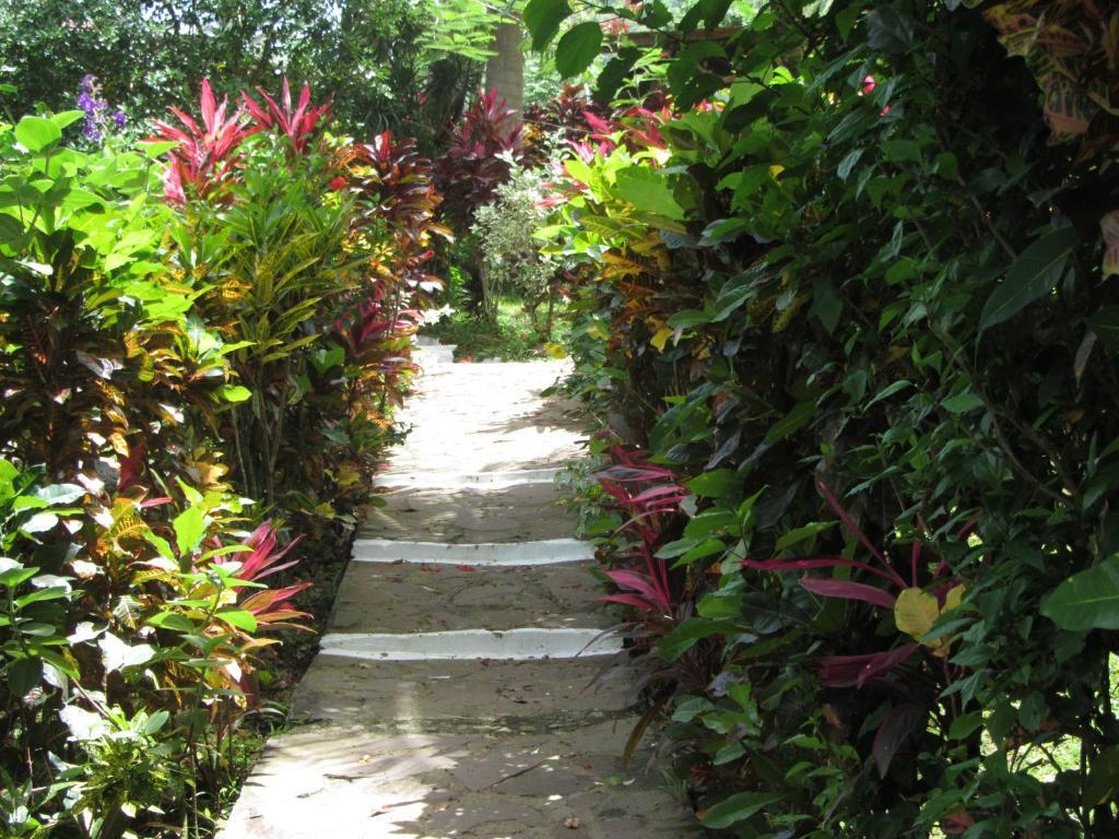 Hibiscus Valley Inn Marigot Habitación foto